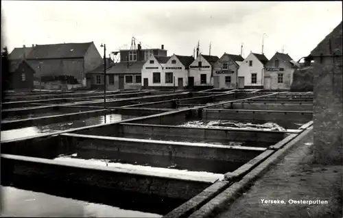 Ak Ierseke Yerseke Reimerswaal Zeeland, Oesterputten