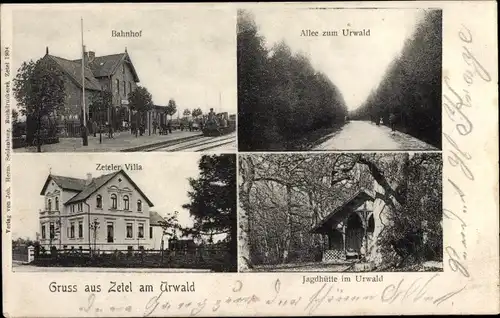 Ak Zetel in Oldenburg Friesland, Allee zum Urwald, Zeteler Villa, Jagdhütte im Urwald