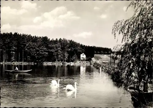 Ak Hünfeld in Hessen, Teichpartie, Schwäne