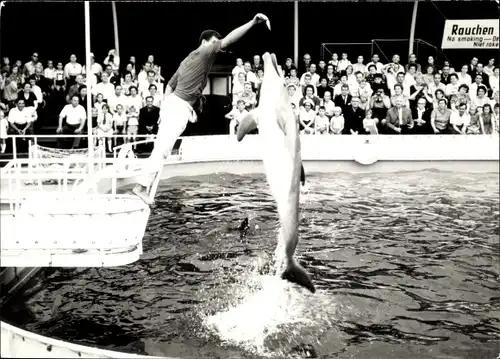 Ak Duisburg im Ruhrgebiet, Tierpark, Delfin