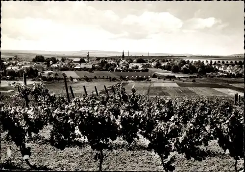 Ak Sprendlingen in Rheinhessen, Panorama vom Ort