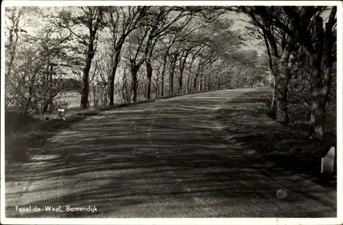 Ak Texel de Waal Nordholland, Boemendijk, Landstraße, Allee