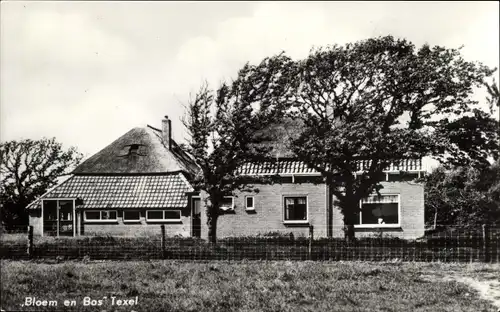 Ak Texel Nordholland, Bloem en Bos, Hausansicht