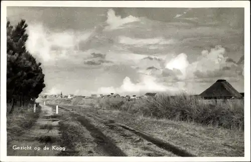 Ak De Koog Texel Nordholland, Gezicht, Panorama