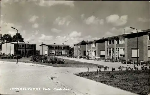 Ak Hippolytushoef Wieringen Nordholland, Pieter Maatsstraat, Wohnsiedlung