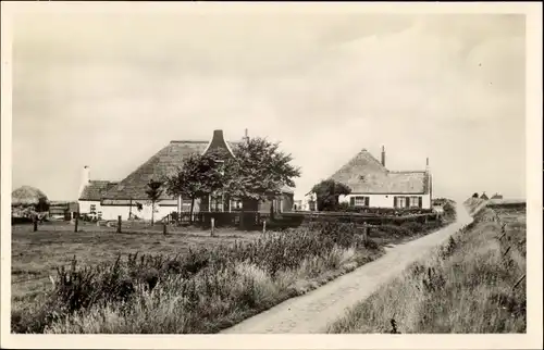 Ak Zuid-Haffel Texel Nordholland, Hofansicht, Landschaftsblick