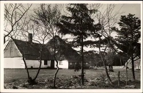 Ak Texel Nordholland, Boerderij Hoog Koog, Bauernhof, Hofansicht