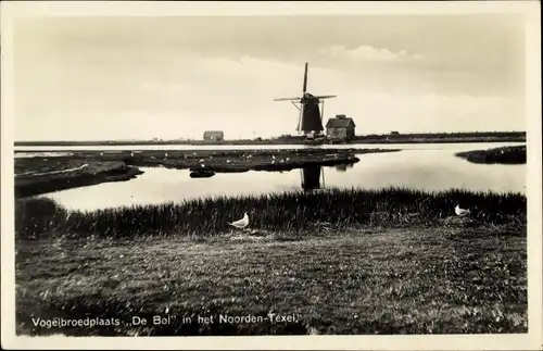 Ak Texel Nordholland, Vogelbroedplats de Bol in het Noorden-Texel, Vogelbrutplatz, Mühle, Panorama