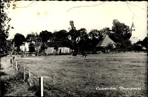 Ak Oudemirdum Friesland, Dorpsgezicht, Ortsansicht, Kuhweide