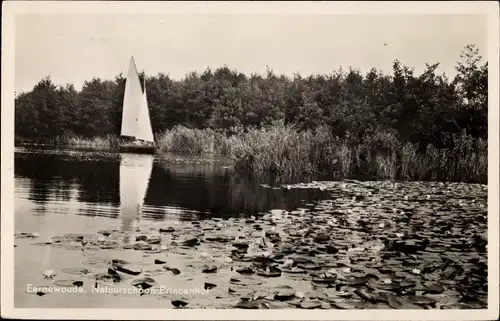 Ak Ernewoude Friesland, Natuurschoon, Princenhof, See, Segelboot