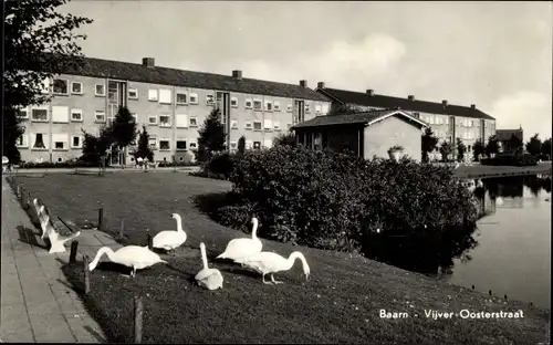 Ak Baarn Utrecht, Vijver-Oosterstraat, Teich, Wohnsiedlung