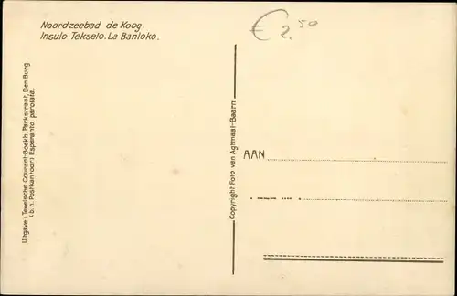 Ak De Koog Texel Nordholland Niederlande, Panorama, Häuser in den Dünen