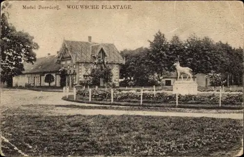 Ak Wouwsche Plantage Nordbrabant, Model Boerderij, Bauernhof