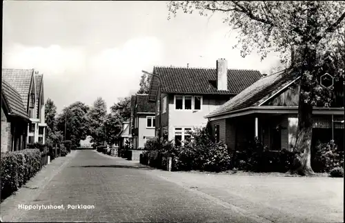 Ak Hippolytushoef Wieringen Nordholland, Parklaan