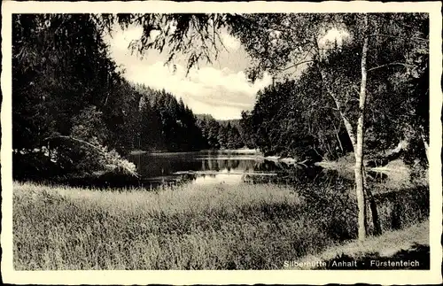 Ak Silberhütte Harzgerode am Harz, Fürstenteich