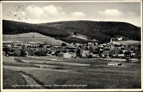 Ak Wolfshagen Langelsheim am Harz, Gesamtansicht