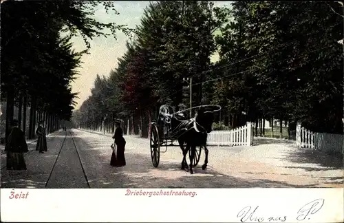 Ak Zeist Utrecht Niederlande, Driebergschestraatweg, Kutsche