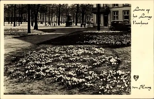 Ak Den Haag Südholland Niederlande, Lange Voorhout