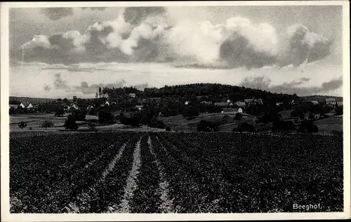 Ak Beeghof Satteldorf in Württemberg, Gesamtansicht