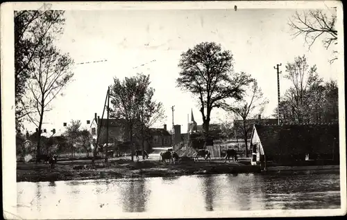 Ak Brinon sur Sauldre Cher, Les bords de la Sauldre