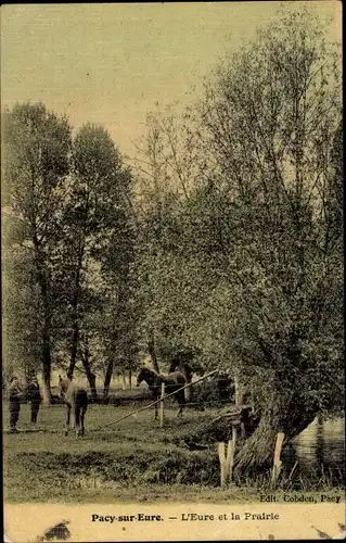 Ak Pacy sur Eure Eure, L'Eure et la Prairie