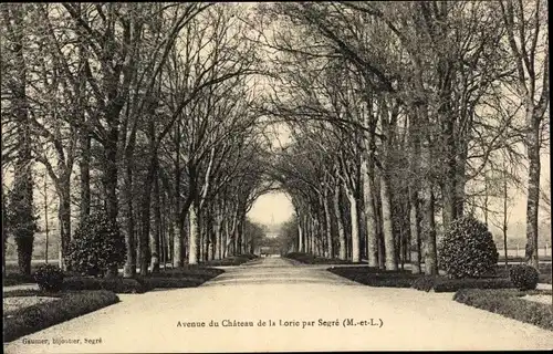 Ak Segré Maine-et-Loire, Avenue du Château de la Loirie