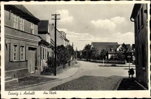 Ak Coswig in Anhalt, Am Flieth