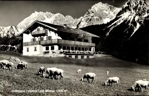 Ak Mittenwald in Oberbayern, Gröblalm mit Wörner, Kühe