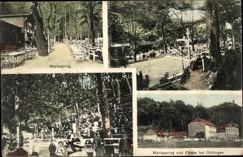 Ak Eddigehausen Bovenden Landkreis Göttingen, Mariaspring und Plesse