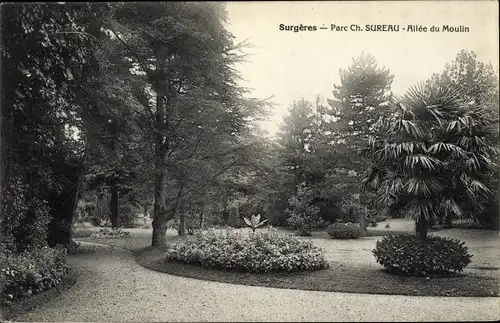 Ak Surgères Charente Maritime, Parc Ch. Sureau, Allee du Moulin