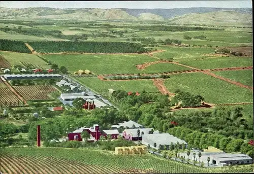 Ak Seppeltsfield South Australia Australien, Barossa Valley, Winery