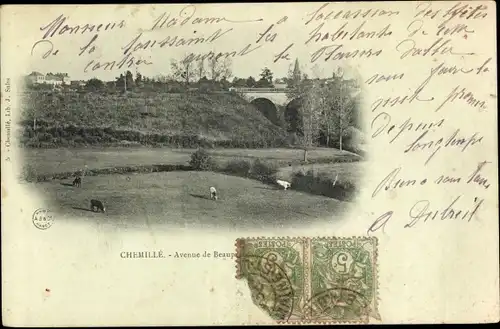 Ak Chemillé Maine-et-Loire, Avenue de Beaupréau, Landschaftspanorama