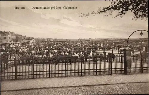 Ak Husum in Nordfriesland, Viehmarkt