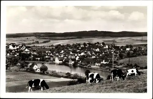 Ak Guxhagen in Hessen, Gesamtansicht, Kühe weiden