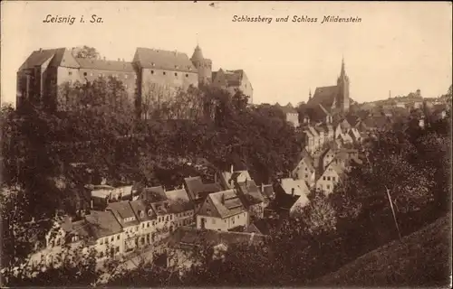 Ak Leisnig in Sachsen, Schlossberg und Schloss Mildenstein