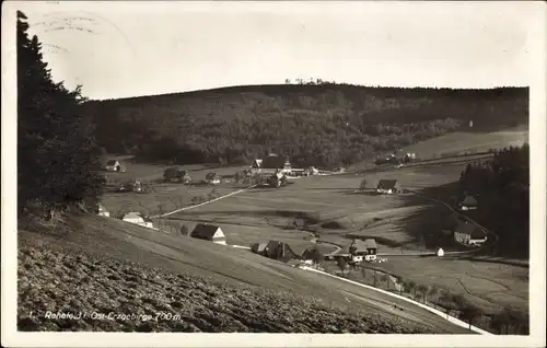 Ak Rehefeld Zaunhaus Altenberg im Erzgebirge, Häuser im Tal, Wald