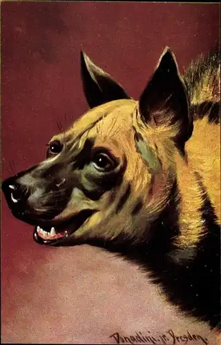 Künstler Ak Donadini, Antonio Ermenegildo, Hyäne, Tierportrait