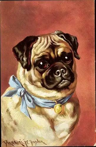 Künstler Ak Donadini, Hundeportrait, Mops