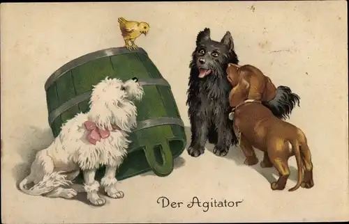Ak Drei junge Hunde, Dackel, Pudel, Holzbottich, Küken, Terrier