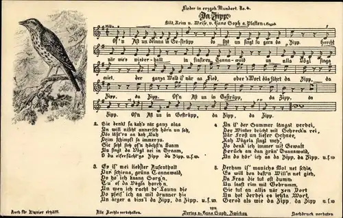 Lied Ak Soph, Hans, Da Zipp, Erzgebirgische Mundart Nr 4, Vogel