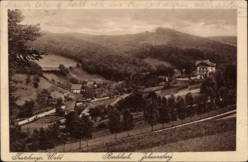 Ak Johannaberg Berlebeck Detmold im Teutoburger Wald, Teilansicht