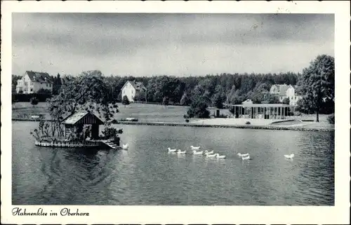 Ak Hahnenklee Bockswiese Goslar im Harz, Seeblick