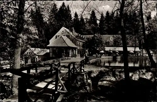 Ak Leopoldstal Horn Bad Meinberg am Teutoburger Wald, Silbermühle