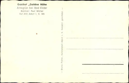 Ak Arnsgrün Adorf im Vogtland, Gesamtansicht, Gasthof Goldene Höhe