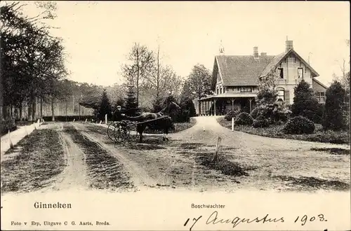 Ak Ginneken en Bavel Nordbrabant, Boschwachter