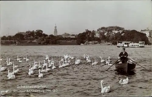 Ak Hamburg, Schwanenwärter im Ruderboot, Schwäne