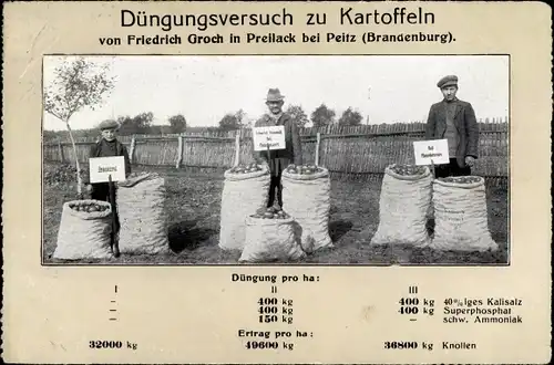 Ak Turnow Preilack in Brandenburg, Düngungsversuch zu Kartoffeln von Friedrich Groch