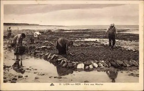 Ak Lion sur Mer Calvados, Parc aux Moules