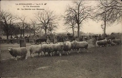 Ak Calvados, Vie Normande, Le Marche aux Moutons