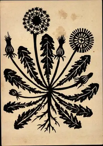 Scherenschnitt Ak Löwenzahn, Pusteblume, Augsburger Schullandheime, Linolschnitt